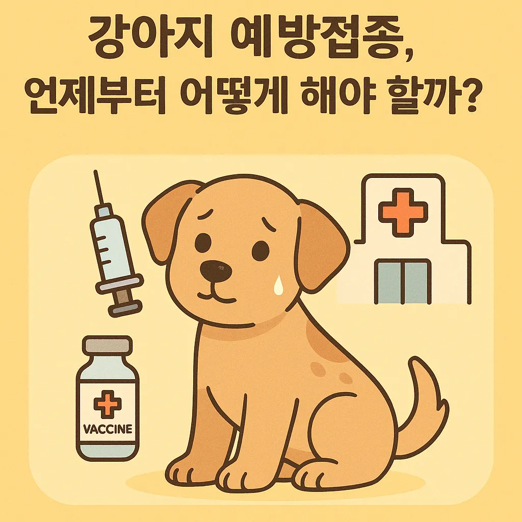 강아지 예방접종, 언제부터 어떻게 해야 할까?