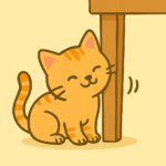 고양이 비비는 이유