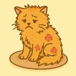 고양이 피부병